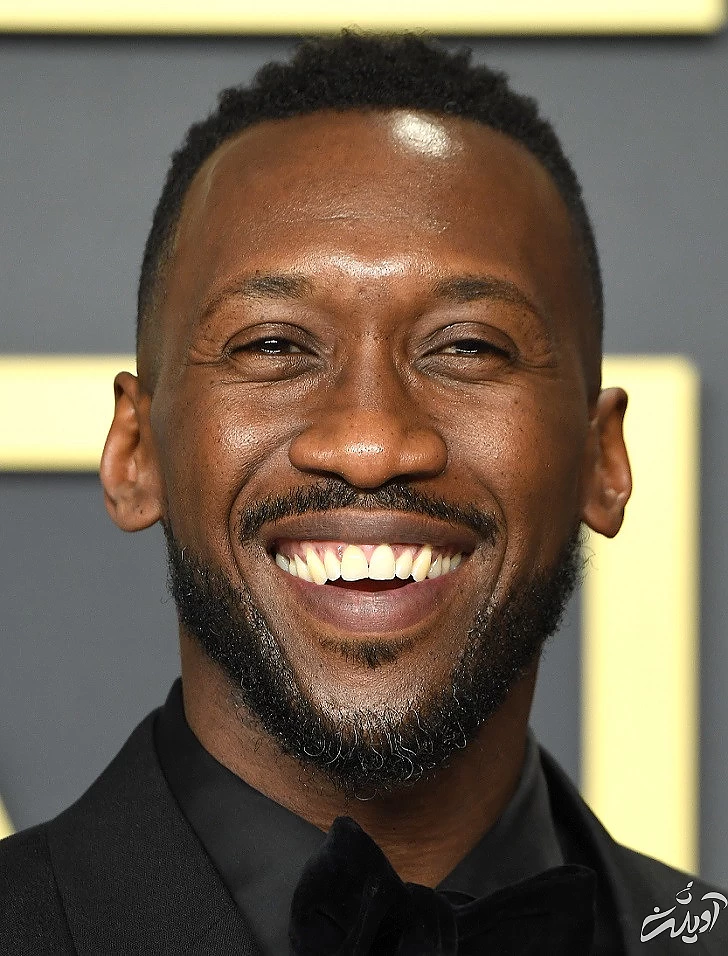 ۸ بازیگر مشهور که حاضر به بازی در صحنههای جنسی نیستند